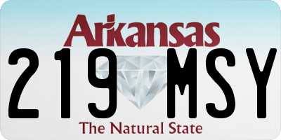 AR license plate 219MSY
