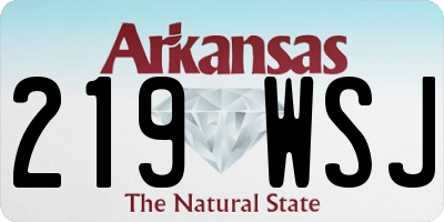 AR license plate 219WSJ
