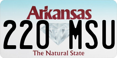 AR license plate 220MSU