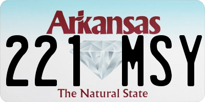 AR license plate 221MSY