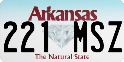 AR license plate 221MSZ