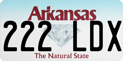 AR license plate 222LDX