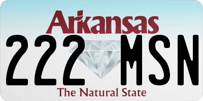 AR license plate 222MSN