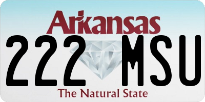 AR license plate 222MSU