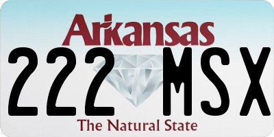 AR license plate 222MSX
