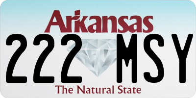 AR license plate 222MSY