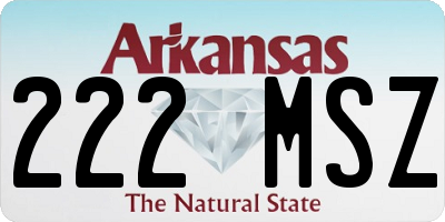 AR license plate 222MSZ