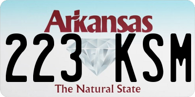 AR license plate 223KSM