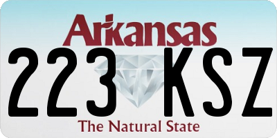 AR license plate 223KSZ