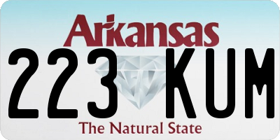 AR license plate 223KUM