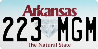 AR license plate 223MGM