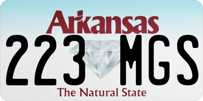 AR license plate 223MGS