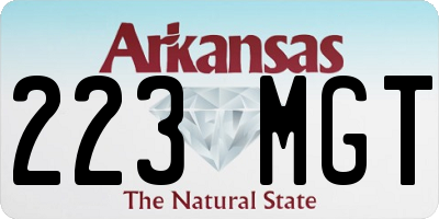 AR license plate 223MGT
