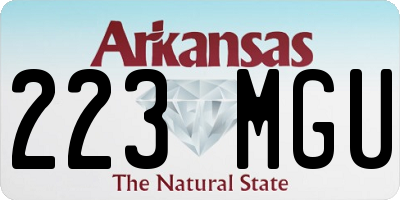 AR license plate 223MGU