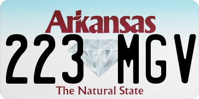AR license plate 223MGV