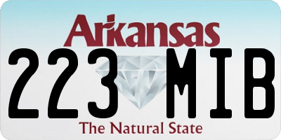 AR license plate 223MIB