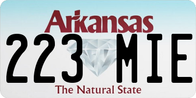 AR license plate 223MIE