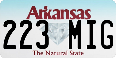 AR license plate 223MIG