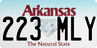 AR license plate 223MLY