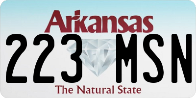 AR license plate 223MSN