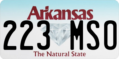AR license plate 223MSO