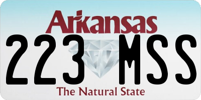 AR license plate 223MSS