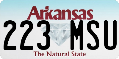 AR license plate 223MSU
