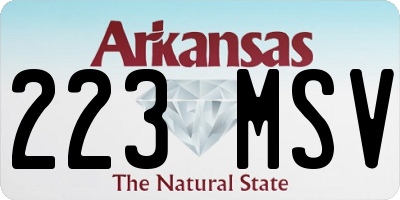 AR license plate 223MSV