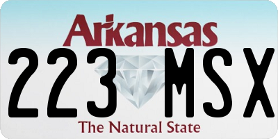 AR license plate 223MSX
