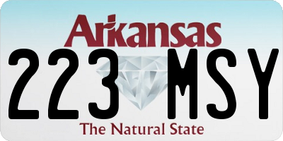 AR license plate 223MSY