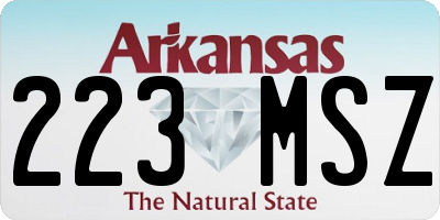 AR license plate 223MSZ
