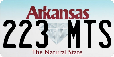 AR license plate 223MTS