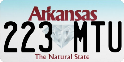 AR license plate 223MTU