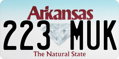AR license plate 223MUK