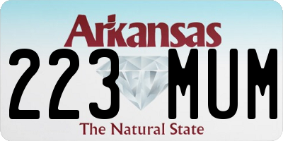 AR license plate 223MUM