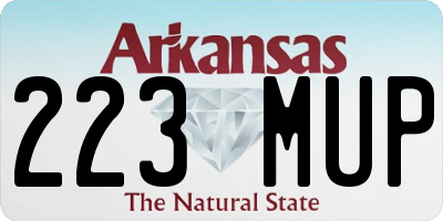 AR license plate 223MUP