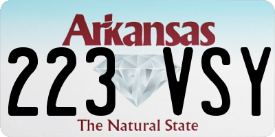 AR license plate 223VSY