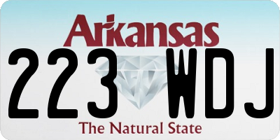 AR license plate 223WDJ