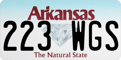 AR license plate 223WGS