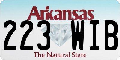 AR license plate 223WIB