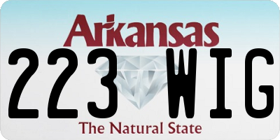 AR license plate 223WIG