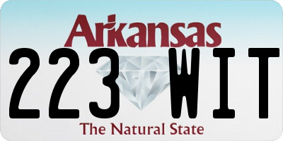AR license plate 223WIT