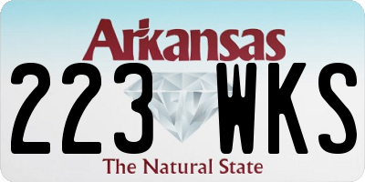 AR license plate 223WKS