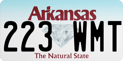 AR license plate 223WMT