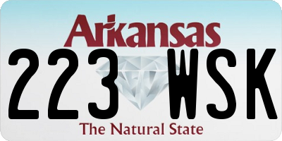 AR license plate 223WSK