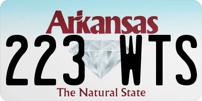 AR license plate 223WTS
