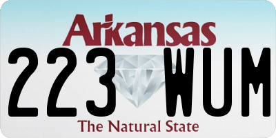 AR license plate 223WUM