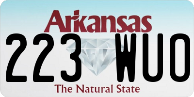 AR license plate 223WUO
