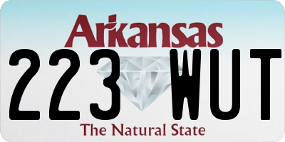 AR license plate 223WUT
