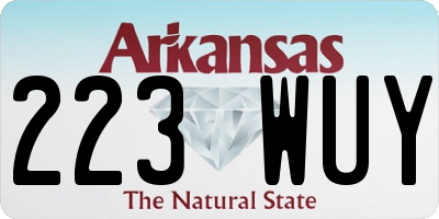 AR license plate 223WUY